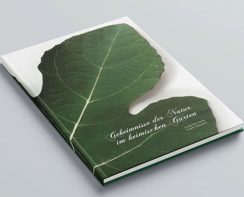 Projektarbeit Buch „Geheimnisse der Natur“